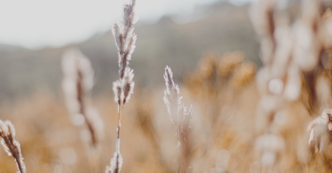 Eye Movement Desensitization Reprocess (EMDR)