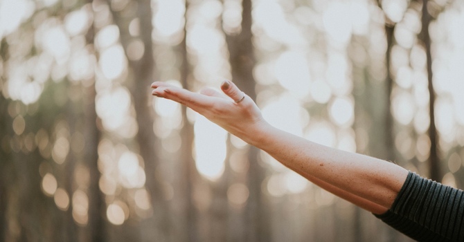 Eye Movement Desensitization Reprocess (EMDR)