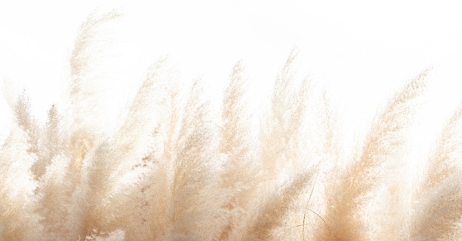 Eye Movement Desensitization Reprocess (EMDR)